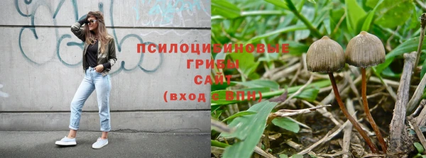 mdpv Михайловск