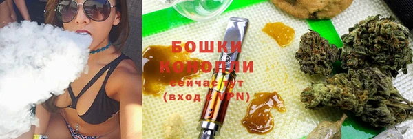 прущие грибы Белоозёрский