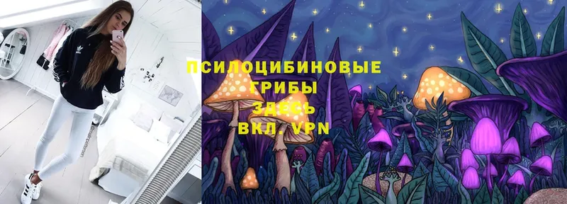 Псилоцибиновые грибы Cubensis  как найти закладки  MEGA вход  Дятьково 