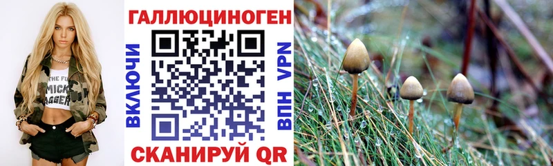 Галлюциногенные грибы Magic Shrooms  omg онион  Дятьково  цены  