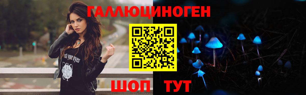 Псилоцибиновые грибы GOLDEN TEACHER  Вход с VPN  Дятьково 
