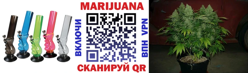 Каннабис конопля Дятьково